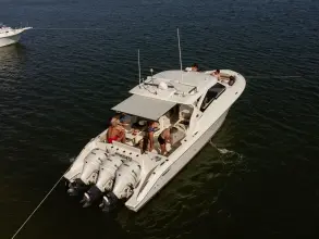 Thumbnail von Pursuit DC 365 Aquathena