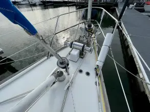 Thumbnail von Pearson 530 Dalmation