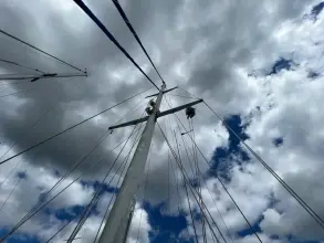 Thumbnail von Pearson 530 Dalmation