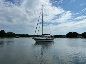 Thumbnail von Pearson 530 Dalmation