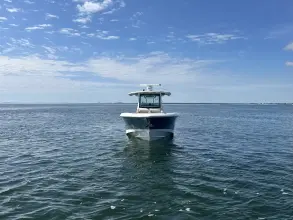 Thumbnail von Boston Whaler 360 Outrage