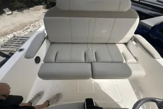 Thumbnail von Boston Whaler 250 Dauntless