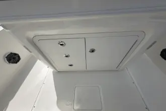 Thumbnail von Boston Whaler 250 Dauntless