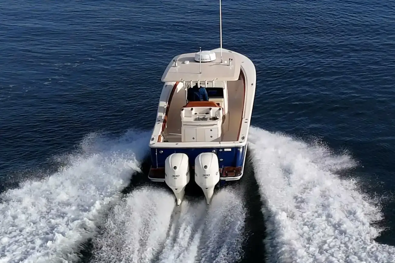 Thumbnail von Scout 300 LXF