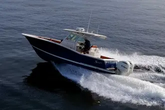 Thumbnail von Scout 300 LXF