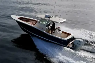 Thumbnail von Scout 300 LXF