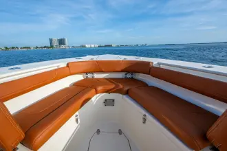 Thumbnail von Scout 300 LXF