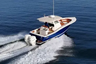 Thumbnail von Scout 300 LXF