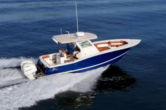 Thumbnail von Scout 300 LXF