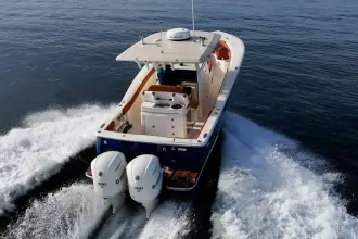 Thumbnail von Scout 300 LXF