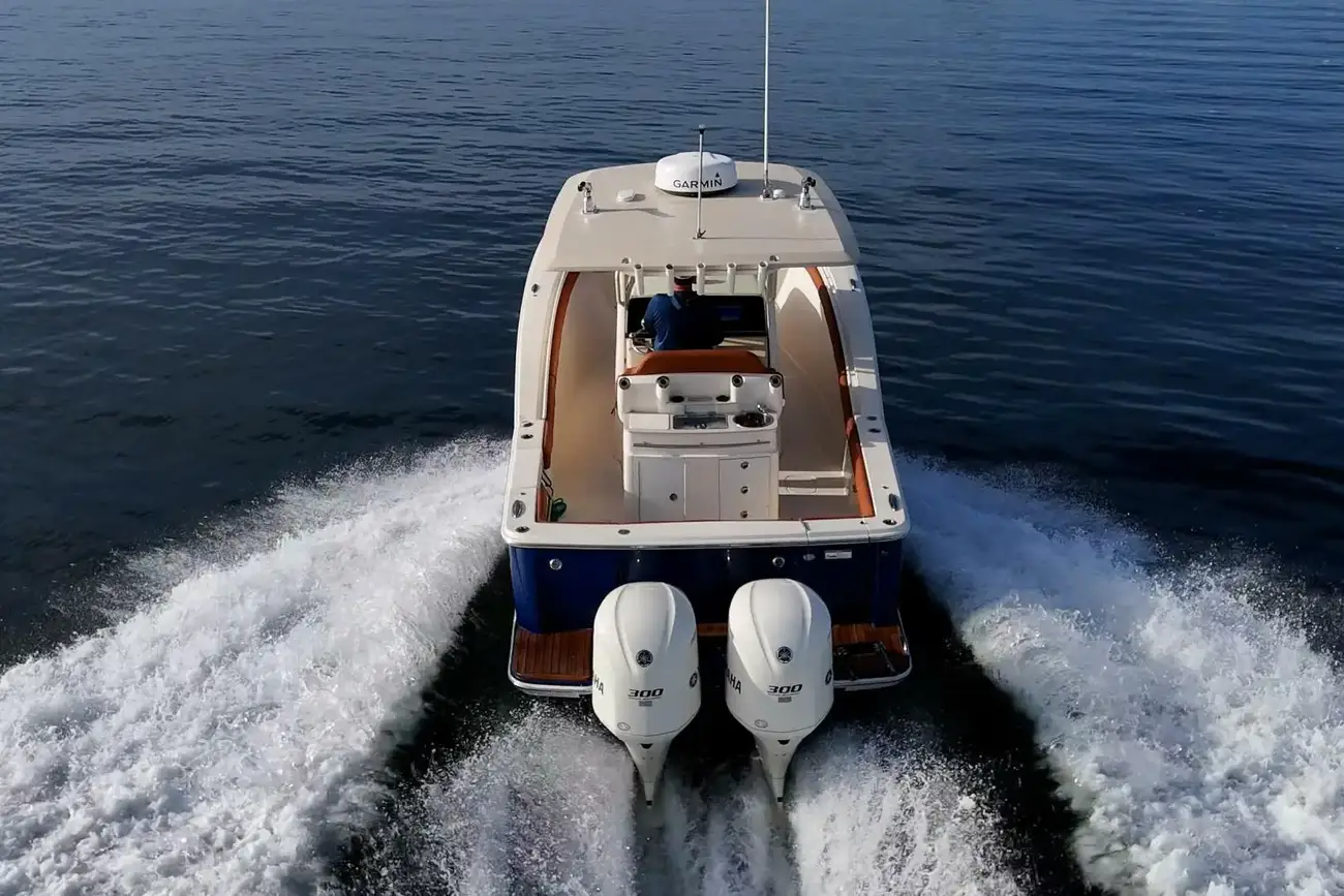 Thumbnail von Scout 300 LXF