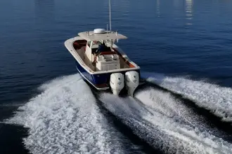 Thumbnail von Scout 300 LXF