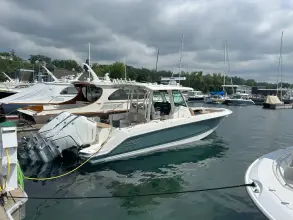 Thumbnail von Boston Whaler 360 Outrage
