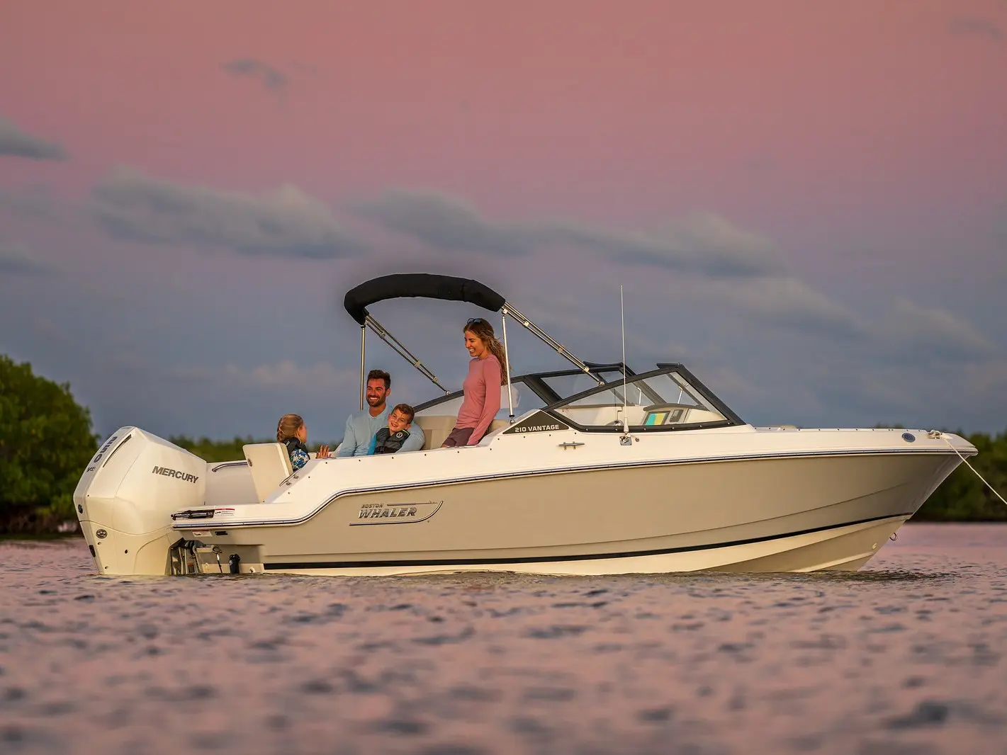 Boston Whaler 210 Vantage