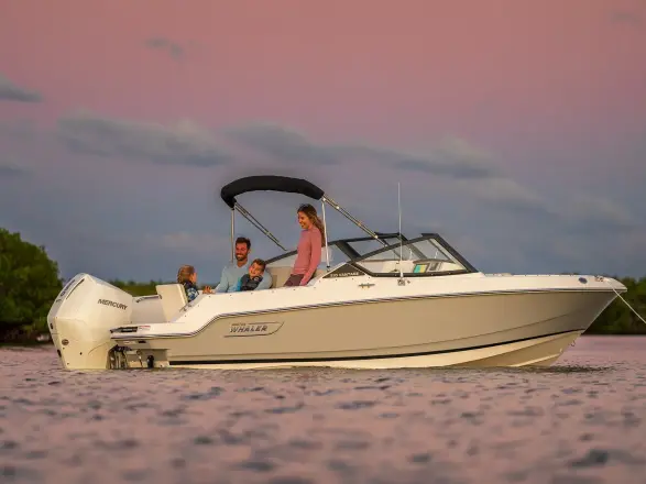 Boston Whaler 210 Vantage