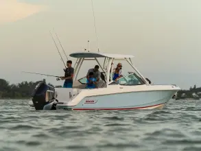 Thumbnail von Boston Whaler 240 Vantage