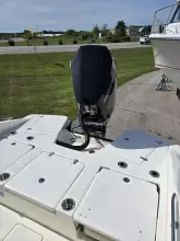 Thumbnail von Boston Whaler 250 Dauntless