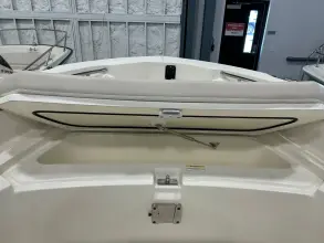 Thumbnail von Boston Whaler 220 Dauntless