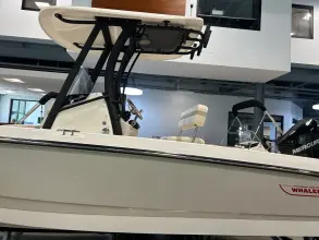 Thumbnail von Boston Whaler 220 Dauntless