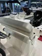 Thumbnail von Boston Whaler 220 Dauntless