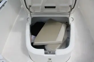 Thumbnail von Boston Whaler 270 Dauntless