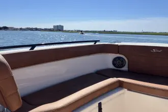 Thumbnail von Scout 240 XSF