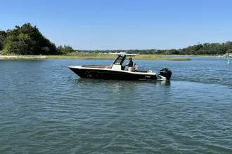 Thumbnail von Scout 240 XSF