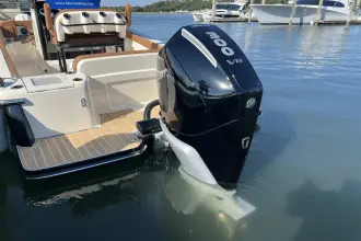 Thumbnail von Scout 240 XSF