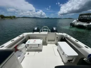 Thumbnail von World Cat 280 DC-X Beach Bum