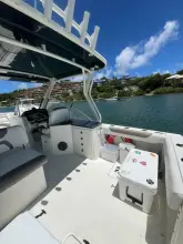 Thumbnail von World Cat 280 DC-X Beach Bum