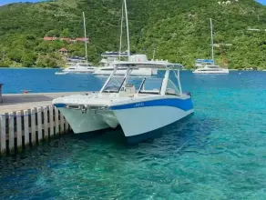 Thumbnail von World Cat 280 DC-X Beach Bum