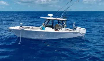 Thumbnail von Cobia 305 CC