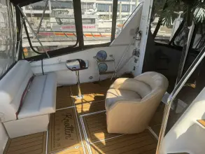 Thumbnail von Sea Ray 550 Sedan Bridge Knottin Matters