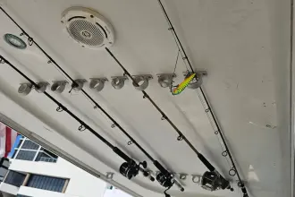 Thumbnail von Carver 444 Cockpit Motor Yacht LA BELLA VITA