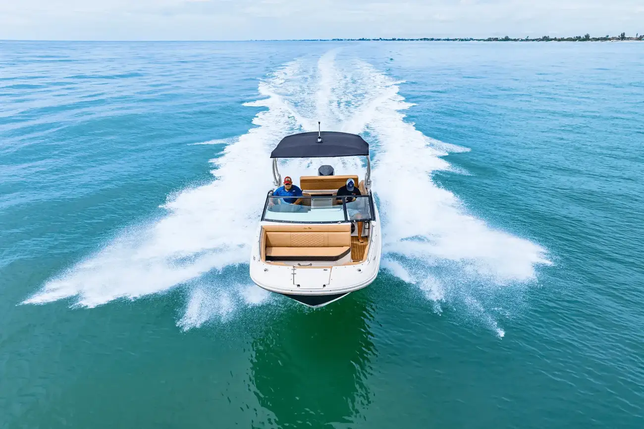 Thumbnail von Sea Ray SDX 250