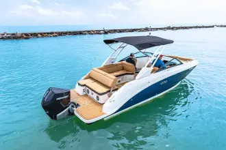 Thumbnail von Sea Ray SDX 250