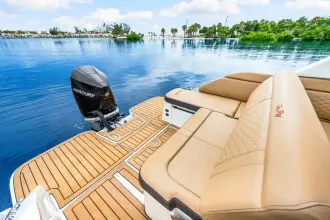 Thumbnail von Sea Ray SDX 250