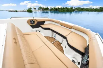 Thumbnail von Sea Ray SDX 250