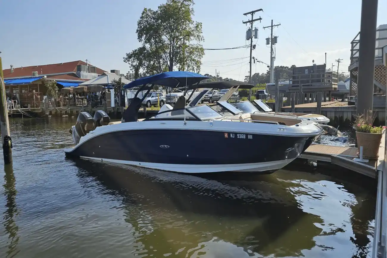 Sea Ray SDX 290 buitenboord