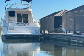 Thumbnail von Regal 38 XO