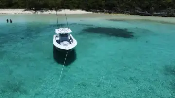 Thumbnail von Yellowfin 39 Offshore