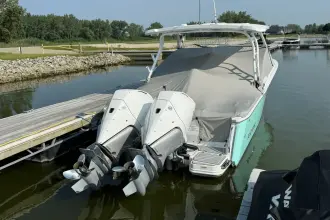 Thumbnail von Blackfin 272 DC