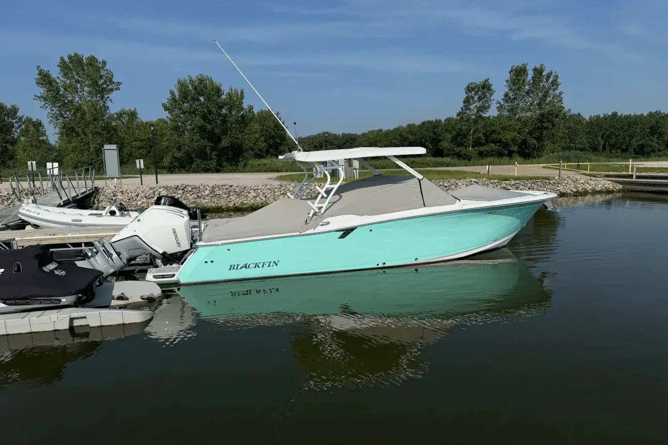 Thumbnail von Blackfin 272 DC