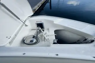 Thumbnail von Boston Whaler 280 Vantage