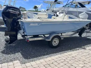 Thumbnail von Boston Whaler 170 Montauk