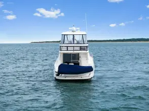 Thumbnail von シー レイ 580 セダン ブリッジ SEA-DELS