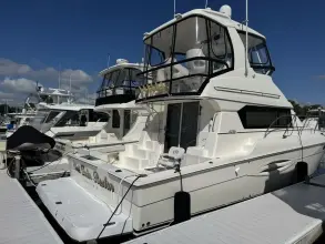 Thumbnail von Silverton 42 Convertible She's From Boston