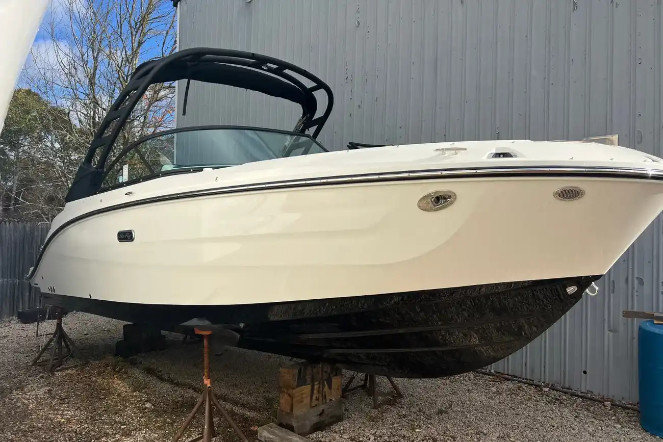 Sea Ray SDX 250 Fuoribordo