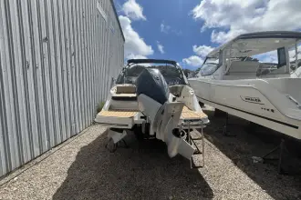 Thumbnail von Sea Ray SDX 250 Fuoribordo