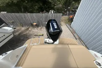 Thumbnail von Sea Ray SDX 250 Fuoribordo